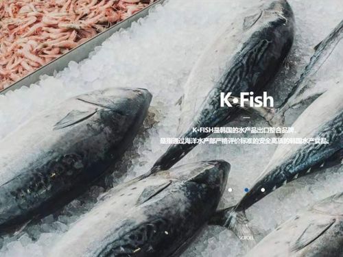 韓國水產(chǎn)協(xié)會上海貿(mào)易支援中心舉辦K-Seafood線上采購洽談會，助力國內(nèi)貿(mào)易代理合作